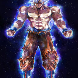 Goku Mastered Ultra Instinct Poster