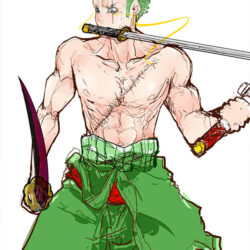 Zoro Poster