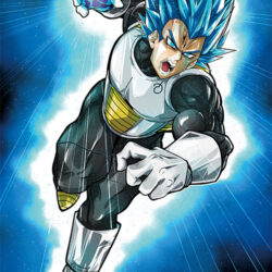 Vegeta Super Saiyan Blue Poster
