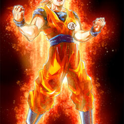 Goku Super Saiyan Red Poster